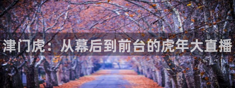 24看球网直播吧：津门虎：从幕后到前台的虎年大直播