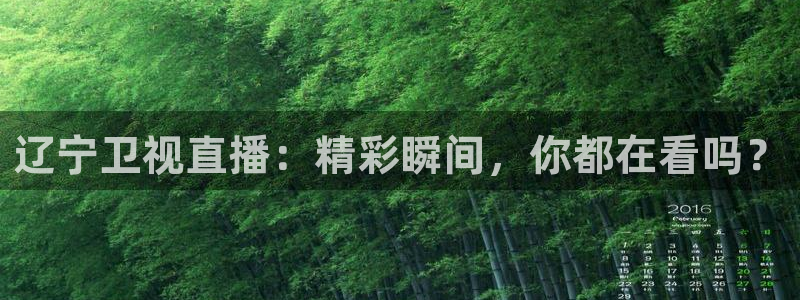 360直播吧雨燕：辽宁卫视直播：精彩瞬间，你都在看吗？