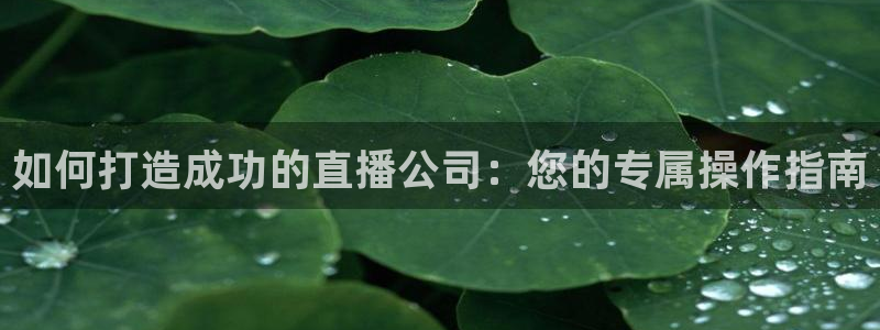 直播吧nba在线直播观看免费高清：如何打造成功的直播公司：您的专属操作指南