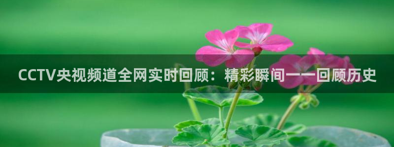 飞速nba直播吧：CCTV央视频道全网实时回顾：精彩瞬间一一回顾历史