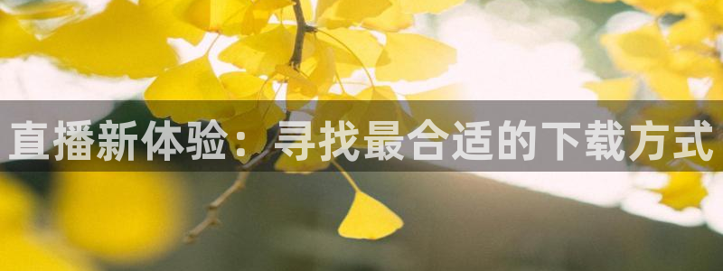 nba直播吧 王者体育：直播新体验：寻找最合适的下载方式
