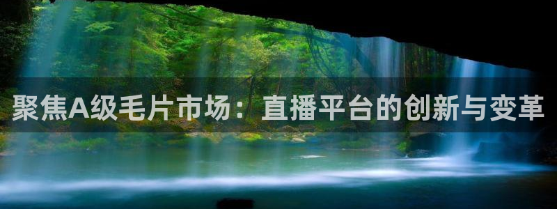 体育nba直播吧：聚焦A级毛片市场：直播平台的创新与变革