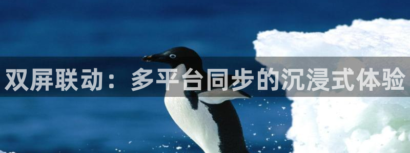 88直播吧nba篮球：双屏联动：多平台同步的沉浸式体验