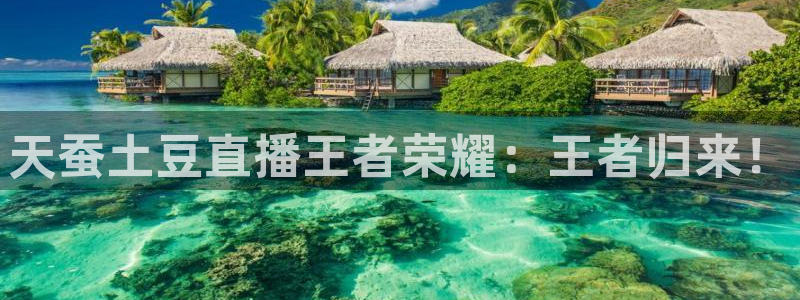 极速体育直播吧体育直播jrs：天蚕土豆直播王者荣耀：王者归来！
